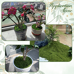 150 г искусственных камней из мха&nbsp;DJEW-SP0001-22A