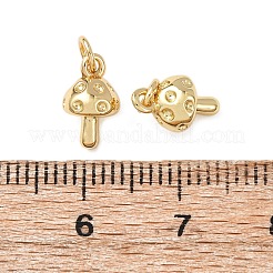 Латунные подвески&nbsp;KK-C143-18G