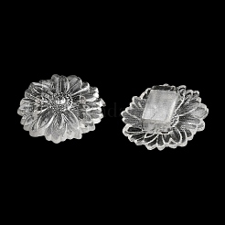 Прозрачного акрилового Европейский бисером TACR-G048-25