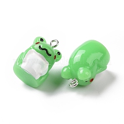 Подвески из непрозрачной смолы&nbsp;RESI-H144-05