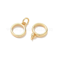 Breloques en laiton shegrace&nbsp;XGRQ3D304-466G