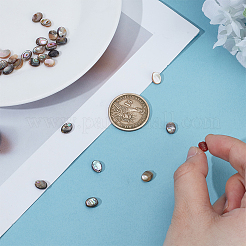 1 нить бусин из натуральной ракушки пауа BSHE-ME0001-05