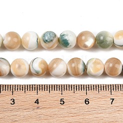 Chapelets de perles de coquillage naturel&nbsp;SH-CBA4F3D-01