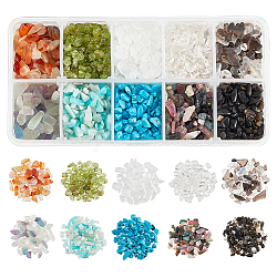 Nbeads diy perlas joyería haciendo encontrar kit, Incluye 240~270 g de cuentas de chips de piedras preciosas mixtas naturales de 10 estilos., ningún agujero, 1~15x1~15x0.5~6mm, alrededor de 24~27 g / estilo