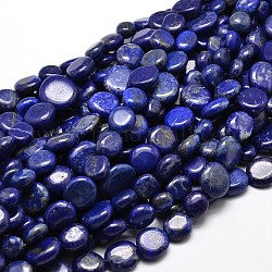Naturales lapis lazuli piedras preciosas hebras pepitas de abalorios, piedra caída, 9~12x8~13x5~7mm, agujero: 1 mm, aproximadamente 15.3 pulgada ~ 15.7 pulgadas