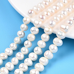 Fili di perle di perle d'acqua dolce coltivate naturali, patata, bianco crema, 6.5~7mm, Foro: 0.6 mm, circa 52~54pcs/filo, 13.39 pollice (34 cm)