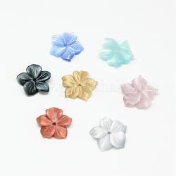 Katzenaugen-Perlen, Blume, Mischfarbe, 14~15x15~16x3~4 mm, Bohrung: 1 mm