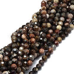 Chapelets de perles en bois pétrifié naturel, ronde, facette, 8mm, Trou: 1.2mm, Environ 50 pcs/chapelet, 15.35'' (39 cm)