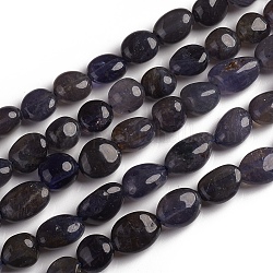 Perline iolite naturale fili, pietra burrattata, pepite, 10~15x7.5~11.5x7.5~12.5mm, Foro: 1 mm, circa 36pcs/filo, 15.67 pollice (39.8 cm)
