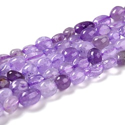 Natural Amethyst Beads Strands, Nuggets, Tumbled Stone, 5~8.5x5.5~7x3.5~4mm, Hole: 0.7mm, about 64pcs/strand, 16.34 inch(41.5cm)