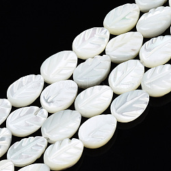 Chapelets de perles de coquille de trochid / trochus coquille, eau de Javel, feuille, blanc, 8.5~9x6x2.5~3mm, Trou: 0.8mm, Environ 45~49 pcs/chapelet, 15.35 pouce (39~42 cm)