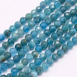 Chapelets de perles en apatite naturelle, facette, ronde, 2mm, Trou: 0.5mm, Environ 166~173 pcs/chapelet, 15.5 pouce (39 cm)