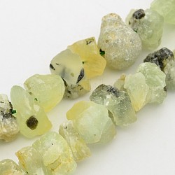 Natural Prehnite Nuggets Bead Strands, 12~16x6~15mm, Hole: 1mm, about 15.7 inch