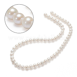 Brins de perles de culture d'eau douce naturelles, ronde, peachpuff, 7~8mm, Trou: 0.8mm, Environ 60 pcs/chapelet, 15.75 pouce