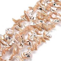 Brins de perles de coquillages naturels de troca, teinte, chips de pépites, tan, 7~26x5~10x6~7mm, Trou: 0.7~1mm, Environ 53~56 pcs/chapelet, 15.63'' (39.7 cm)