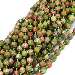 Perline Unakite naturali fili, con perline semi, sfaccettato, bicono, perline prisma a doppia punta terminata, 5~7x6mm, Foro: 0.8 mm, circa 48pcs/filo, 15.55'' (39.5 cm)