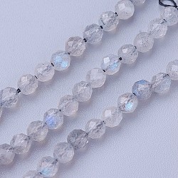 Chapelets de perles en labradorite naturelle , facette, ronde, 4~4.5mm, Trou: 0.6mm, Environ 90~100 pcs/chapelet, 14.5~16.1 pouce (37~41 cm)