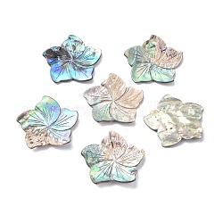 Pendenti conchiglia abalone naturale / conchiglia paua, fiore, 34x35x1.5~3mm, Foro: 1.8 mm