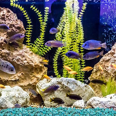 Окрашенные и нагретые бусины из натуральной стружки говлита G-GA0001-17-1