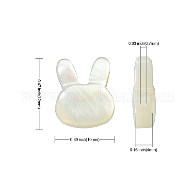 5шт натуральные белые бусины из ракушек BSHE-CJ0001-06-1