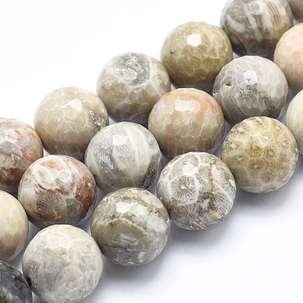 Natural Fossil Coral Beads Strands G-K256-11-16mm-1