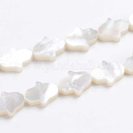 Guscio bianco naturale madreperla perle di conchiglia X-SSHEL-L017-006-1