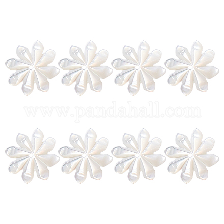 8 шт. натуральные бусины из ракушек FIND-GO0003-28-1