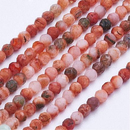 Natural Multi-Color Agate Beads Strands G-E373-06A-1