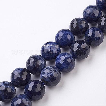 Chapelets de perles en sodalite naturel G-E302-076-16mm-1
