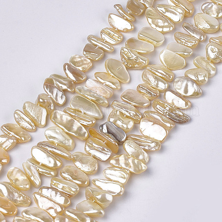 Electroplate Shell Pearl Beads Strands SSHEL-S261-01C-1