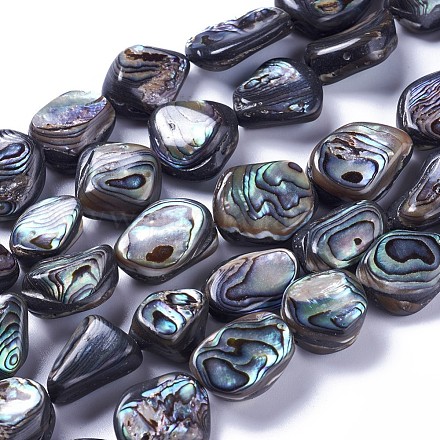 Brins de perles en coquille d'ormeau naturel / coquille de paua SSHEL-F303-08A-1