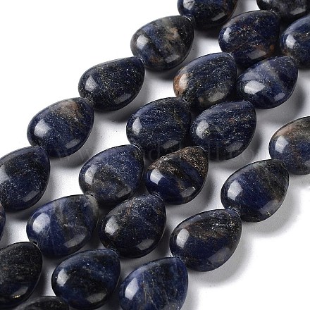 Natural Sodalite Beads Strands G-L242-19-1
