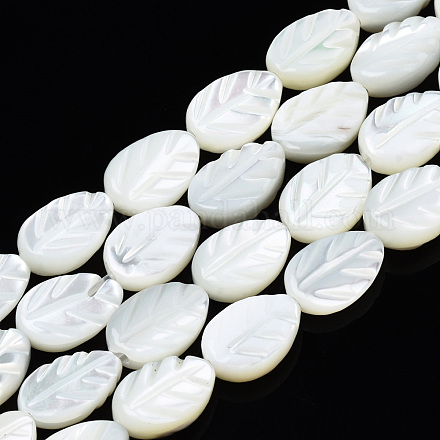 Chapelets de perles de coquille de trochid / trochus coquille SSHEL-N034-135A-01-1