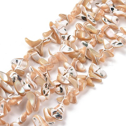 Brins de perles de coquillages naturels de troca SSHEL-H070-03A-1
