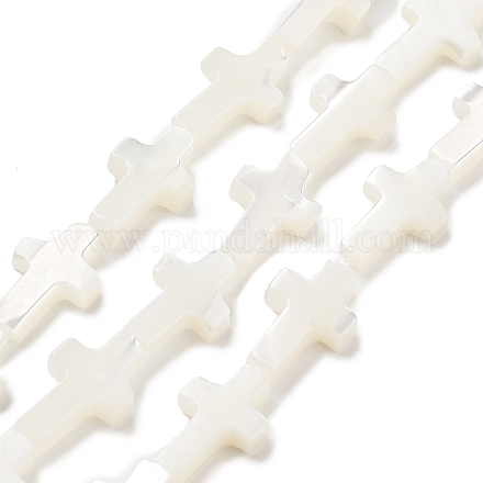 Нити бусин из натуральной белой ракушки SSHEL-F0812C-1