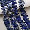 Natural Lapis Lazuli Beads Strands, Nuggets, with Seed Beads, 5~18x3.5~8.5x2.5~6.5mm, Hole: 0.7~1mm, about 46~51pcs/strand, 15.35''~16.14''(39~41cm)