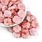 Transparent Acrylic Beads, Plum Blossom, Two Tone, Light Coral, 20x19.5x7mm, Hole: 1.6~1.8mm, about 230pcs/500g