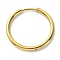 316L Surgical Stainless Steel Huggie Hoop Earrings for Girl Women, Golden, 12 Gauge, 22x2mm, Pin: 1mm