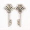 Tibetan Style Alloy Pendants, Cadmium Free & Nickel Free & Lead Free, Skeleton Key Pendants, Antique Silver, 30x14x4mm, Hole: 1.5mm