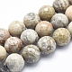 Fossiles naturelle perles de corail brins G-K256-11-16mm-1