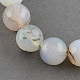 Colored Natural Multi-Color Agate Beads Strands G-R177-12mm-10-1