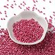 Baking Paint Glass Seed Beads X-SEED-S042-15A-05-2