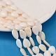 Shell normal de perles blanches de brins PBB263Y-1-1