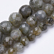 Natural Labradorite Beads Strands G-S281-08-6mm-2