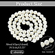 Fili di perle di conchiglia trochid naturale / trochus SHEL-WH0001-008-3