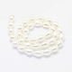 Chapelets de perles de coquille BSHE-P024-05-2