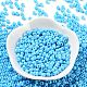 Baking Paint Glass Seed Beads SEED-H002-I-B504-2