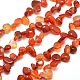 Agate naturelle brins puce de perles G-M204-32-1