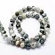 Natural Tree Agate Beads Strands X-G-I199-03-10mm-2