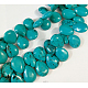 Brins de perles de magnésite naturelle TURQ-K003-28B-2